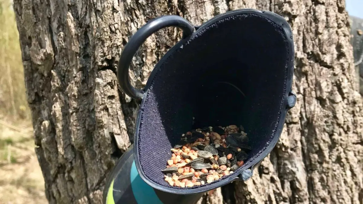Shoe nailed to a tree and filled with birdseed. 