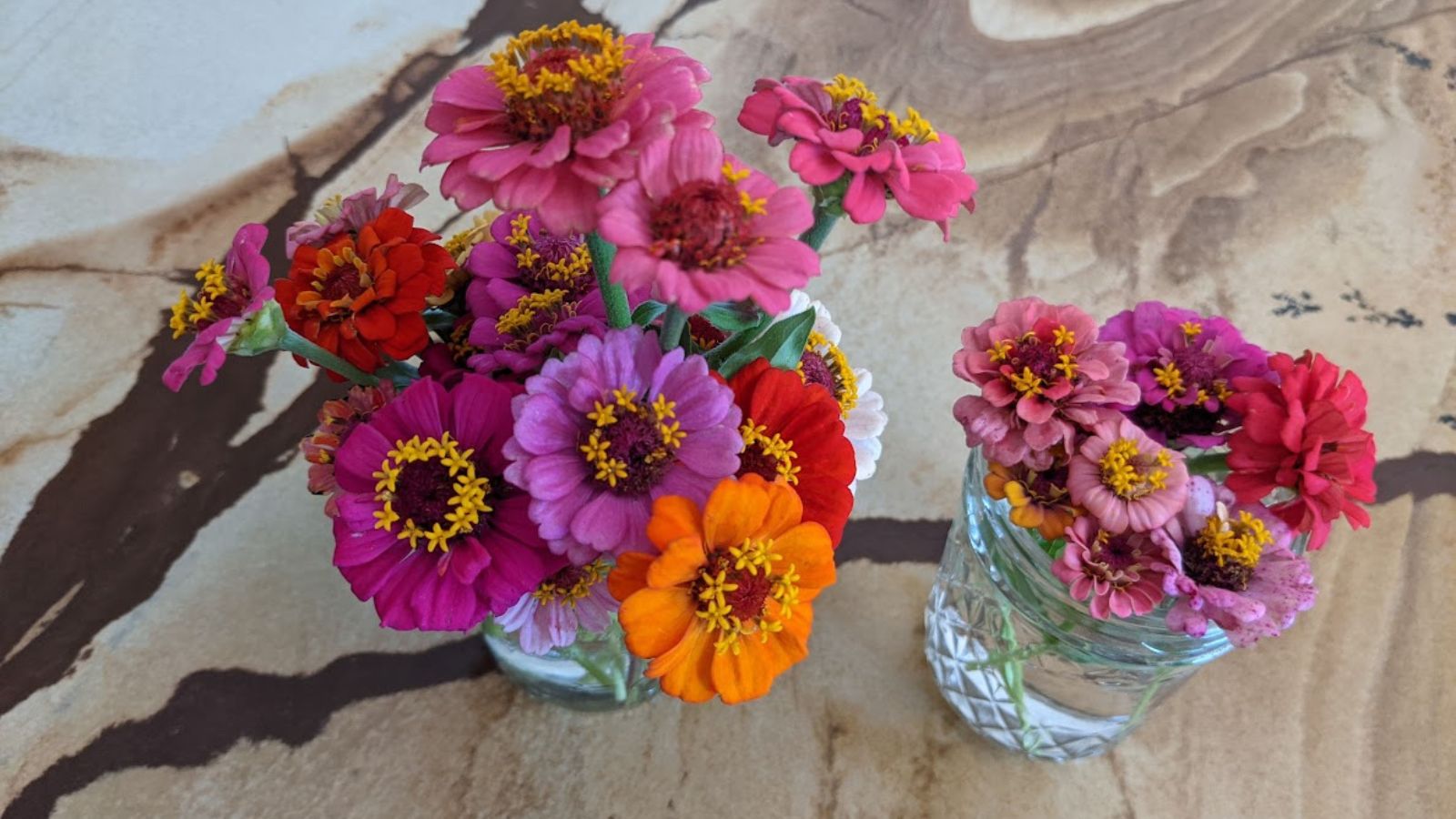 colorful zinnia bouquets.