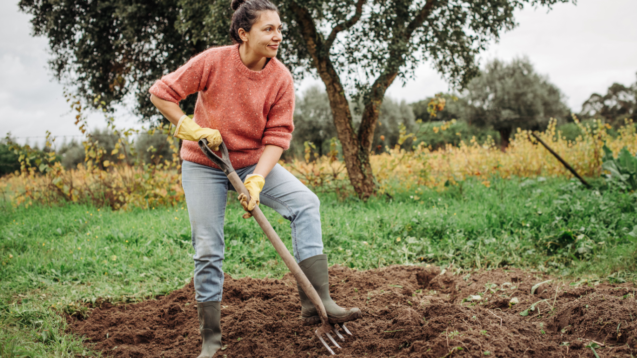 woman tilling her garden working in her garden