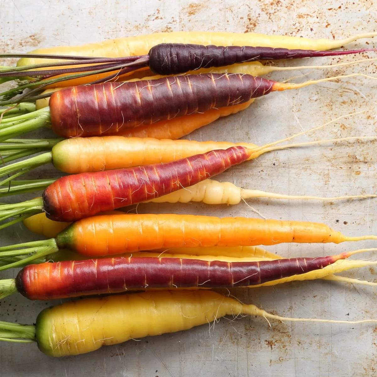 colorful carrots lines up on a flat surface.