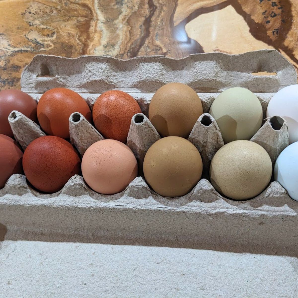 a dozen colorful eggs.