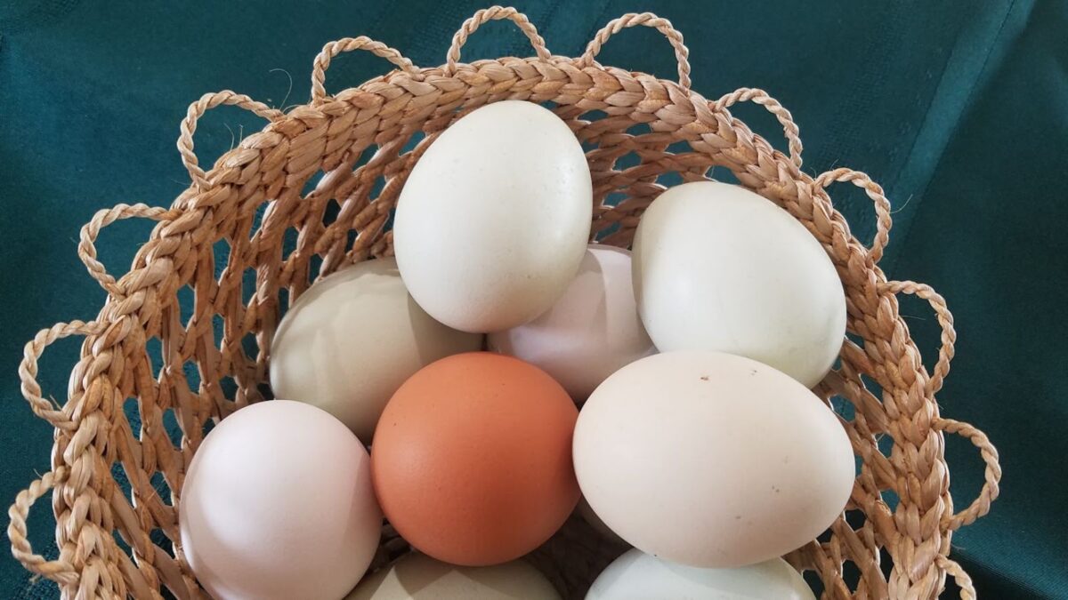 light colored eggs in a cute basket. 
