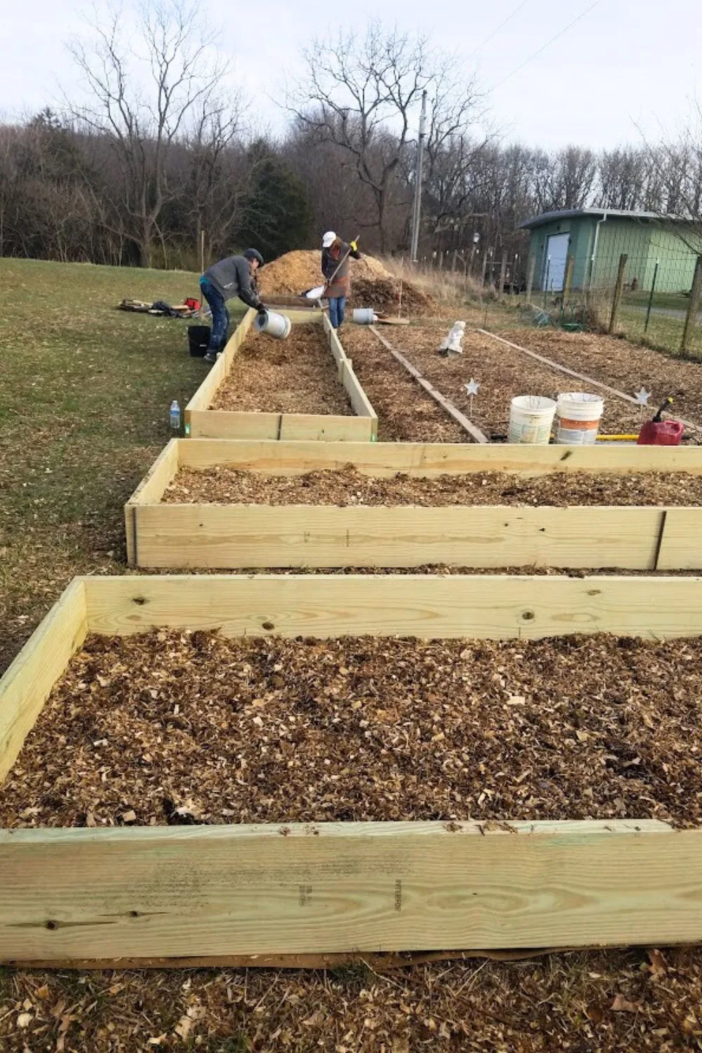 preparing raised garden beds in the spring.