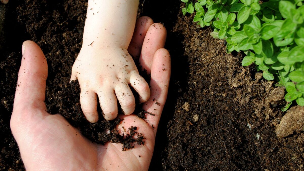 child's hand feeling compost in an adult's hand.