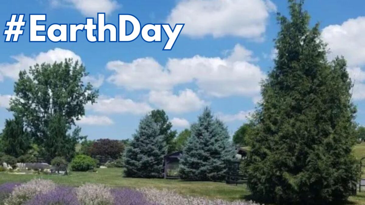 #earthday hashtag to promote Earth Day on social media.