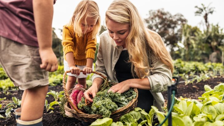 Want a Healthier Life? Start by Growing Your Own Vegetables