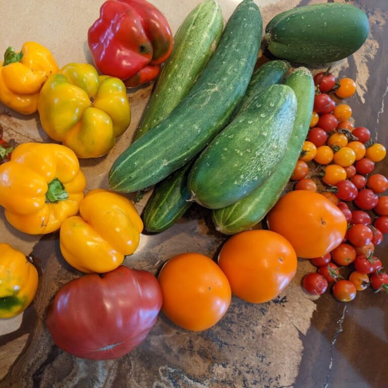 freshly picked veggies on my kitchen table.
