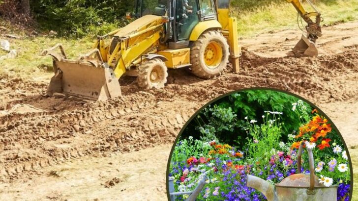 How Much Does It Cost To Level A Yard? Quick Guide to Regrading Your Property