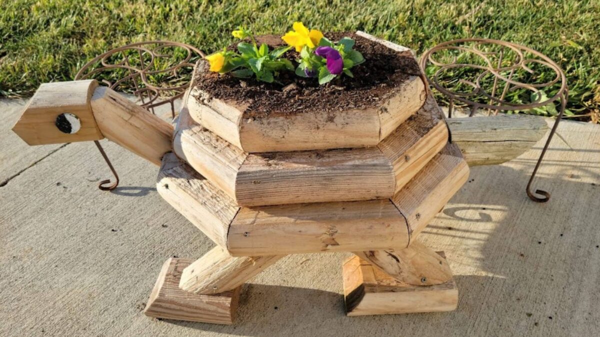 wooden turtle planter with bright yellow pansies. 