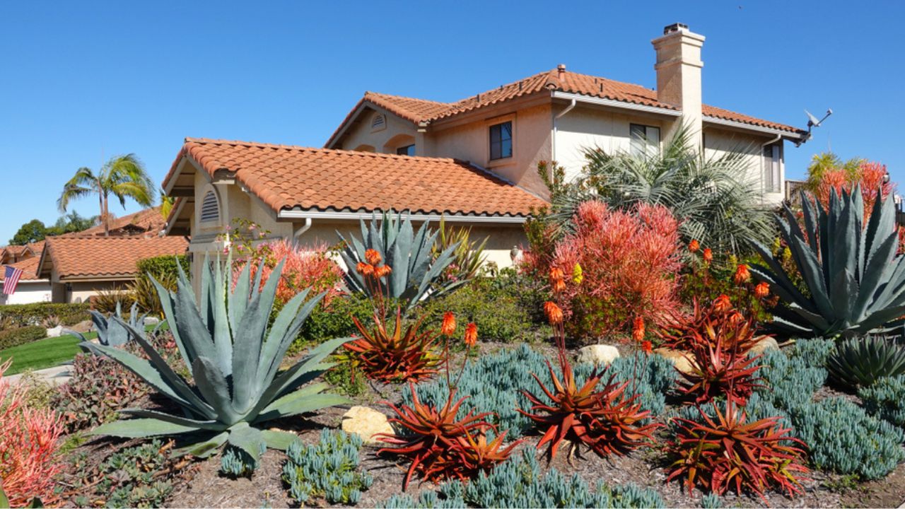 Drought tolerant landscaping in Southern California