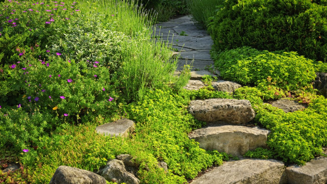Natural stone steps and path landscaping in home garden