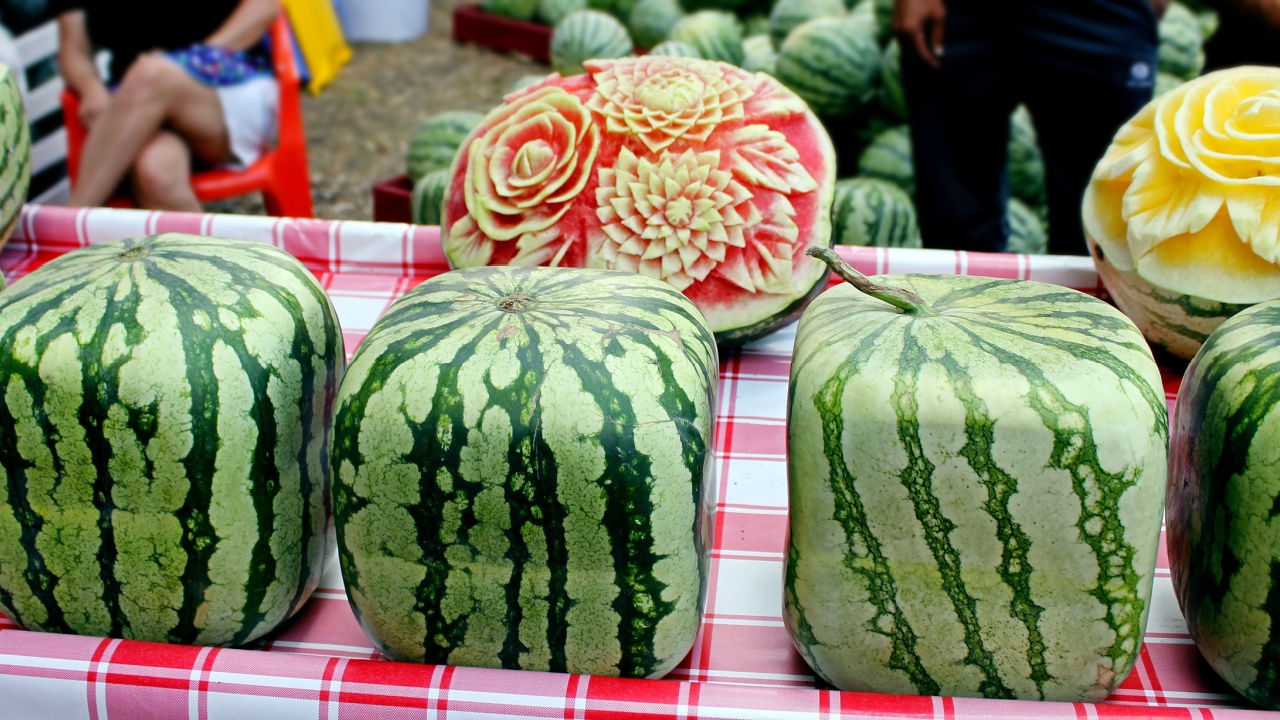 Cubic, square watermelons. Fresh ripe watermelons on display in a sunday market.