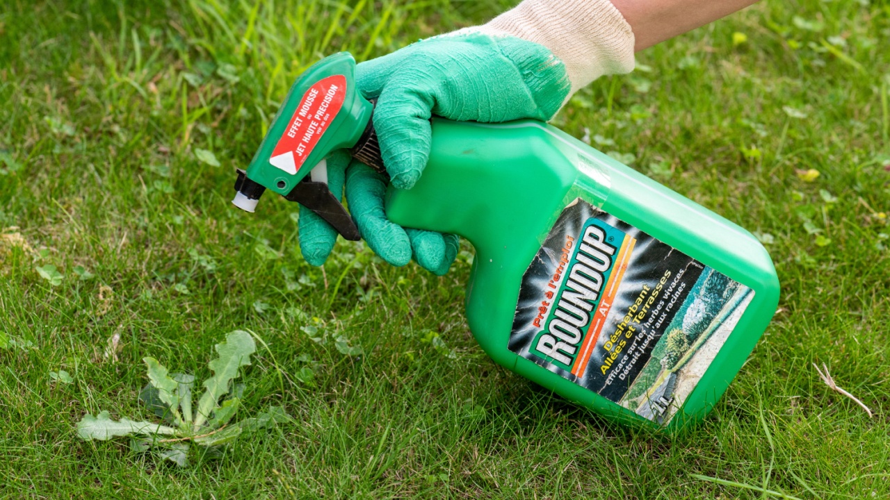 Paris, France - August 15, 2018 : Gardener using Roundup herbicide in a french garden. Roundup is a brand-name of an herbicide containing glyphosate, made by Monsanto Company.