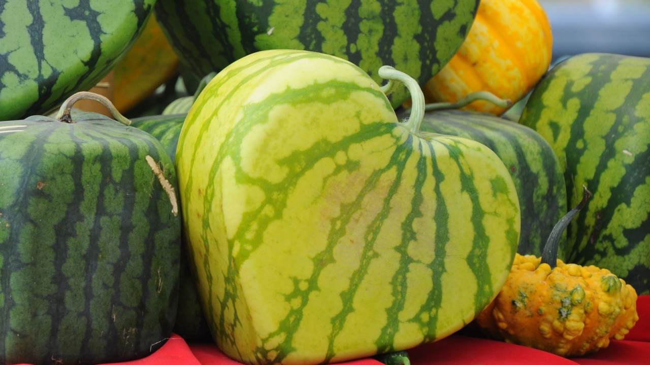 heart watermelon
