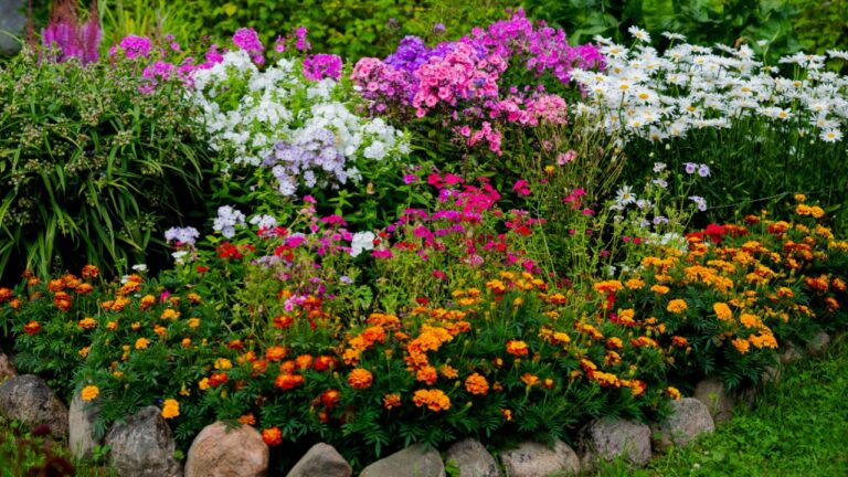 multicolored flowerbed on a lawn. horizontal shot. selective focus.Perennial garden flower bed in spring at flower show.Colorful flower bed with Gazania and Begonia,phloxes