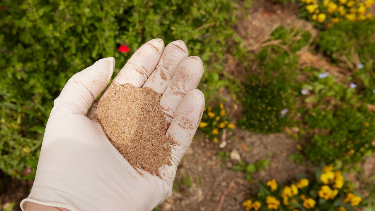 Fish Blood and Bone Meal fertilizer seen in a hand, covered in a plastic glove.