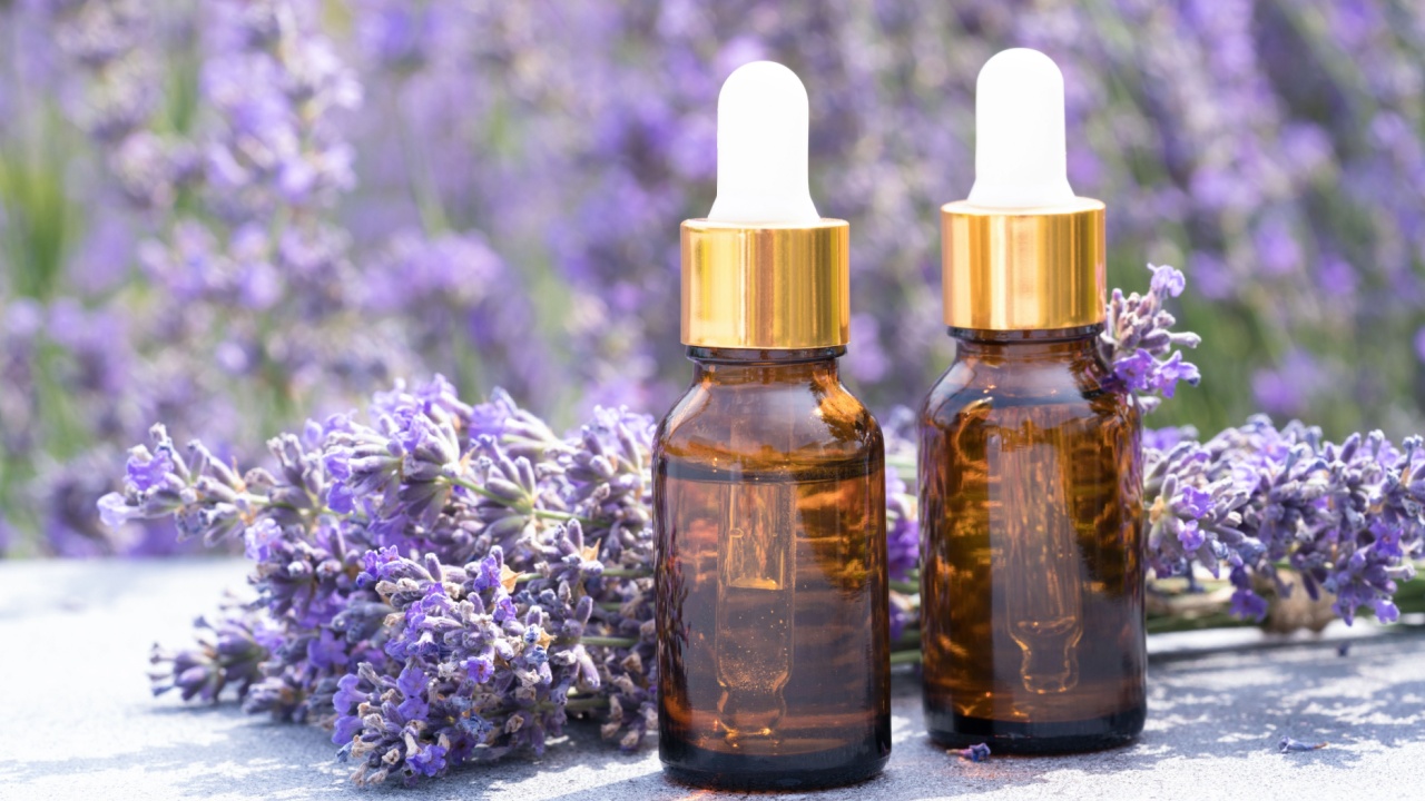 Two dropper bottles with lavender cosmetic oil or face serum against lavender flowers field as background. Herbal cosmetics and modern apothecary concept. Lavender beauty products