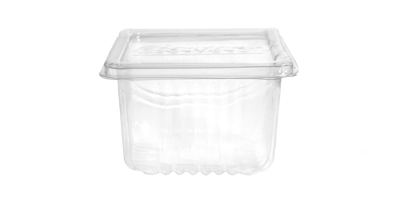 Square disposable plastic box isolated on white background