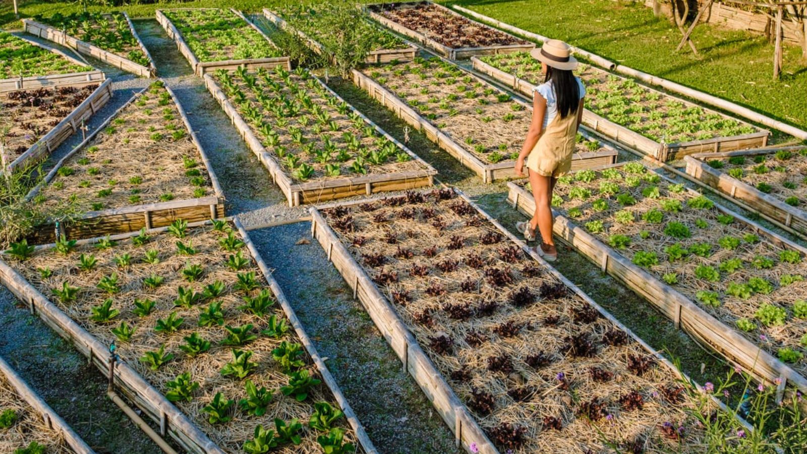 a woman walking through a large community garden.