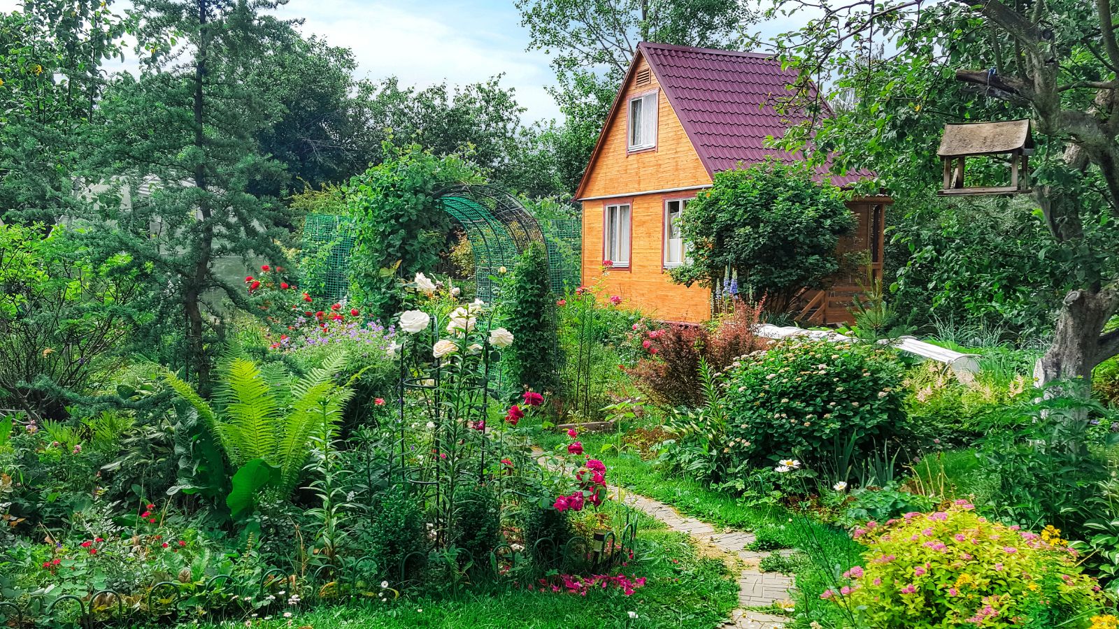 cottage garden with white roses on a trellis
