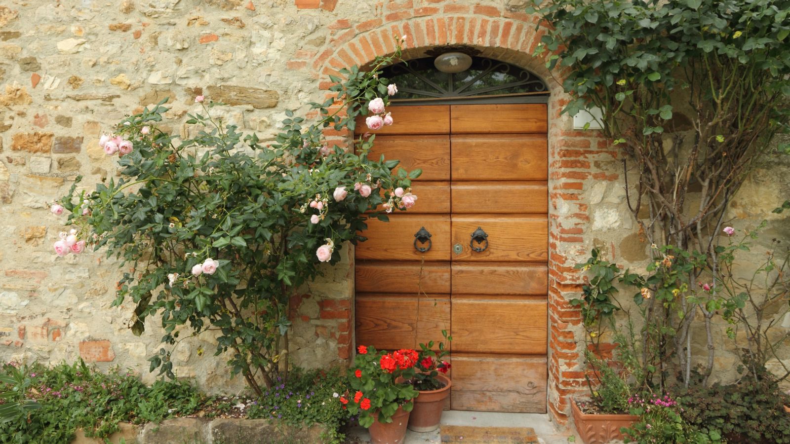 house door decorated with climbing roses