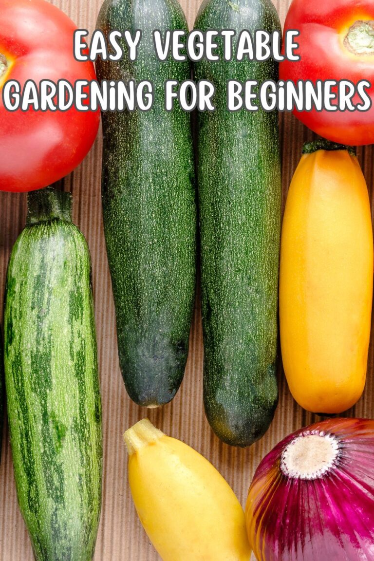 Easy Vegetable Gardening For Beginners