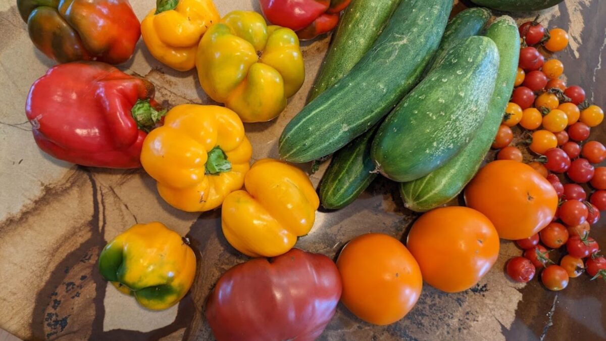 freshly harvested summer vegetables: tomatoes, peppers, and cucumbers.