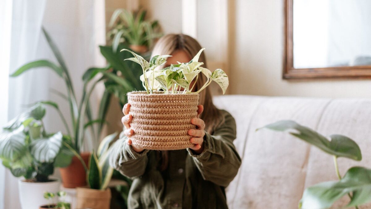 woman sitting on the couch, holding a potted photos plant.