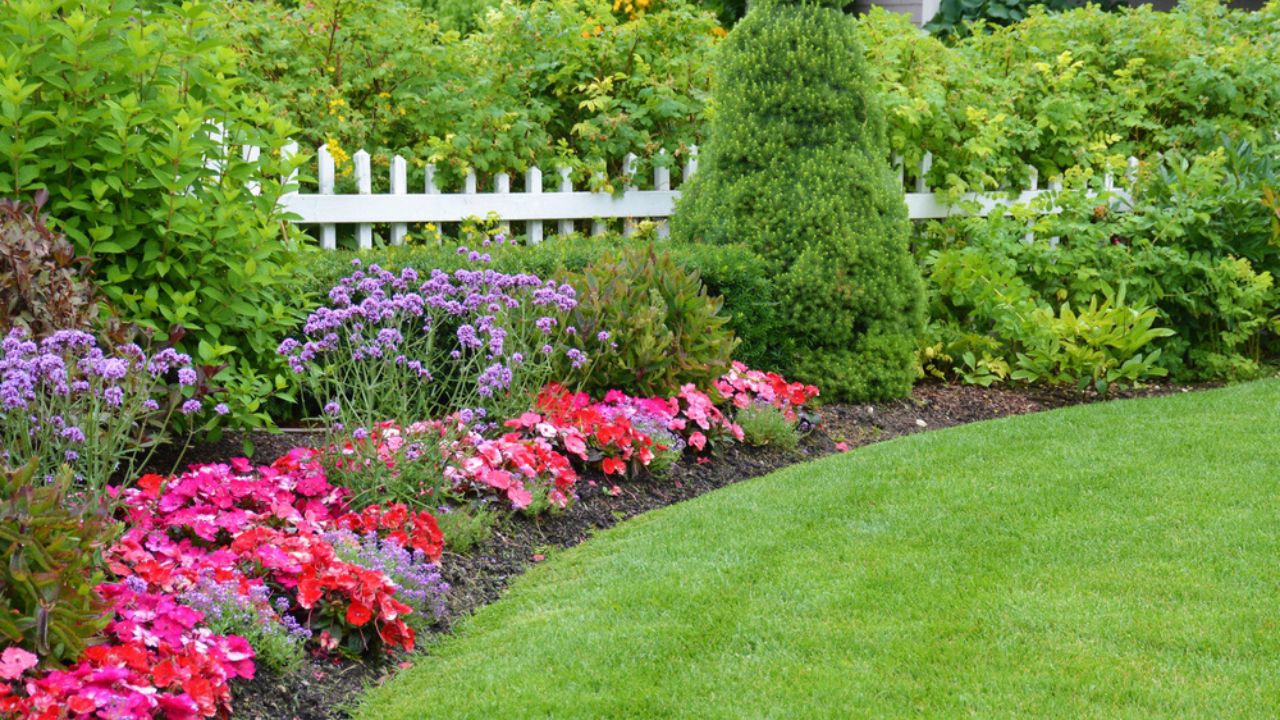 A lovely garden border around a neatly manicured lawn.
