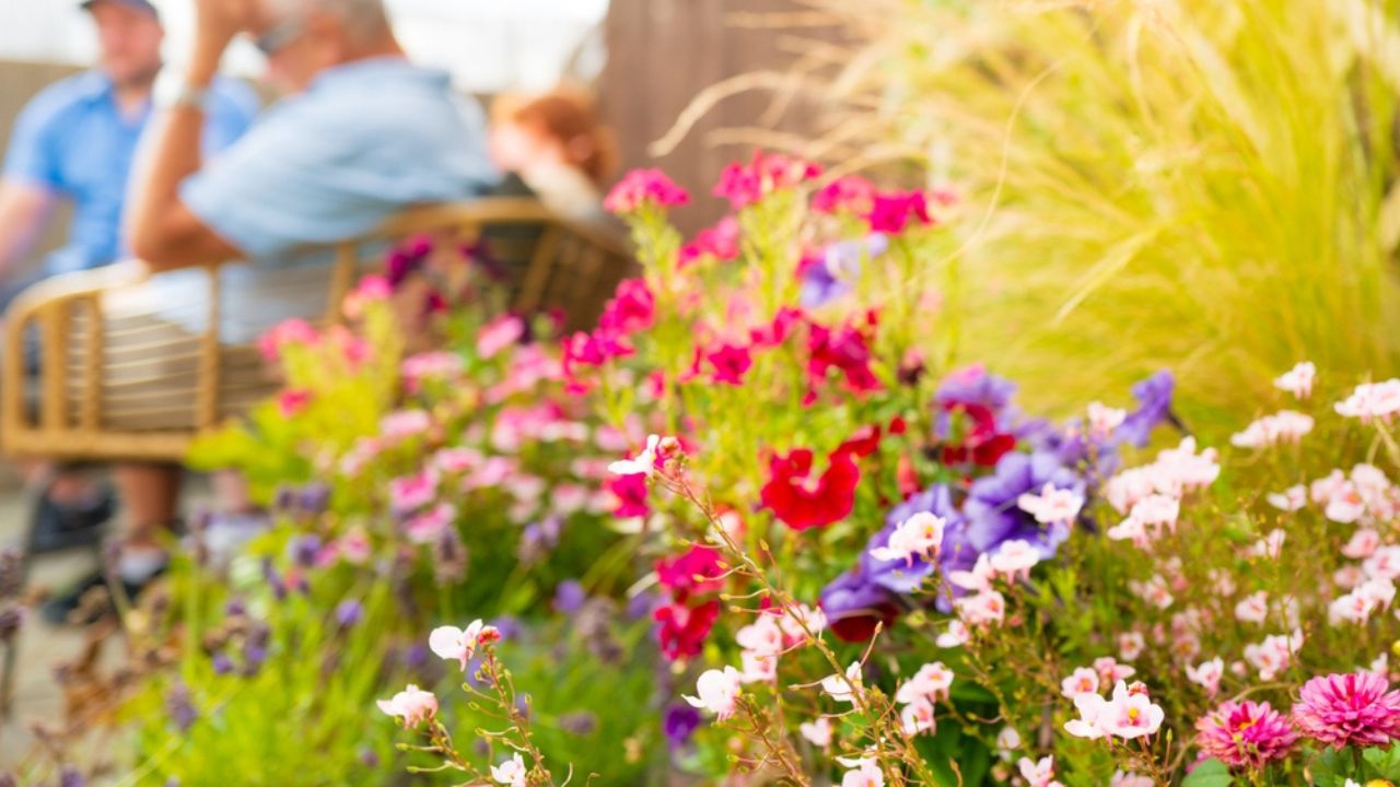 Shallow focus of summer flowers seen in a back garden with defocused people seeing enjoying a garden party.
