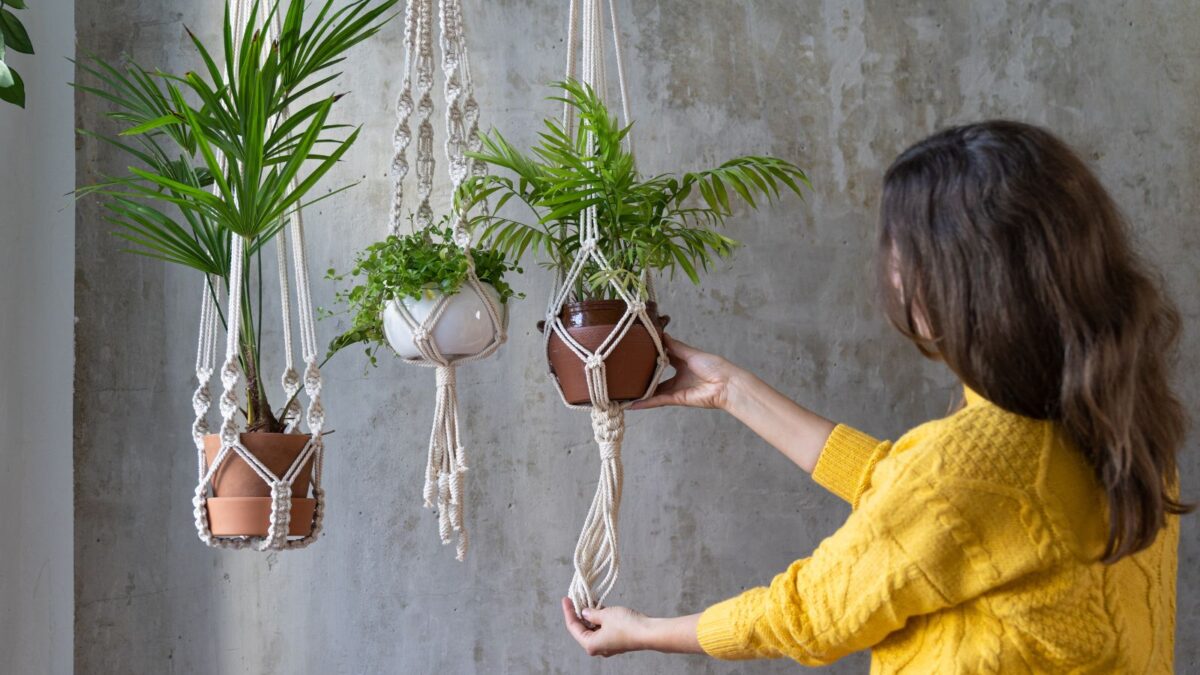 woman arranging a few indoor hanging plants.