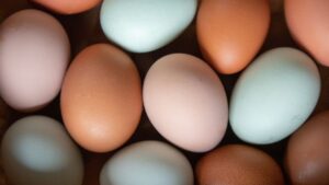 Naturally Colorful Chicken Eggs in a Pattern