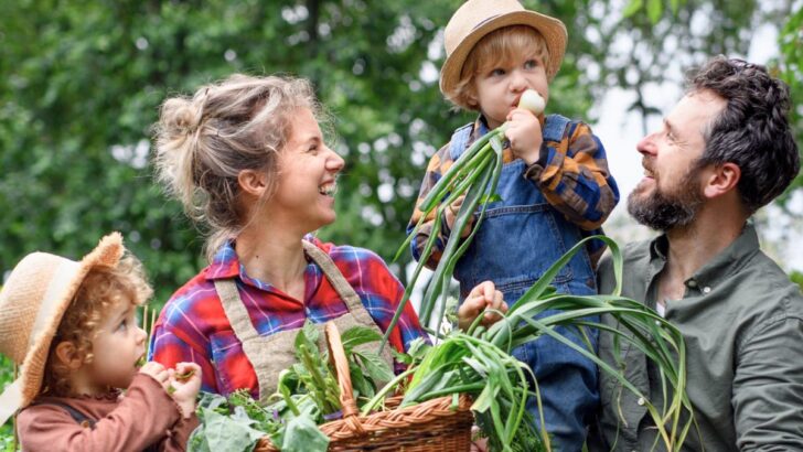 Sustainable Living – A Step By Step Guide To A Simpler, More Fulfilling Life