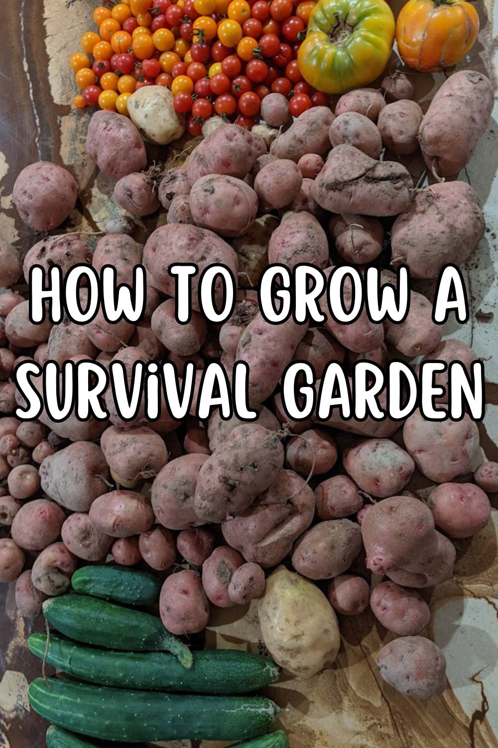 How to grow a survival garden.