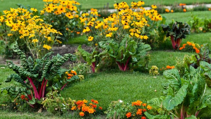 10 Tips for Getting The Most From Your Garden