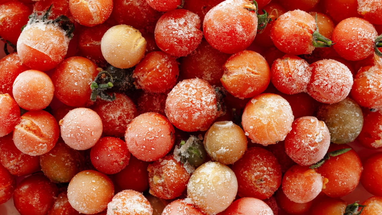Close up frozen cherry tomatoes covered with ice. Frozen vegetables.