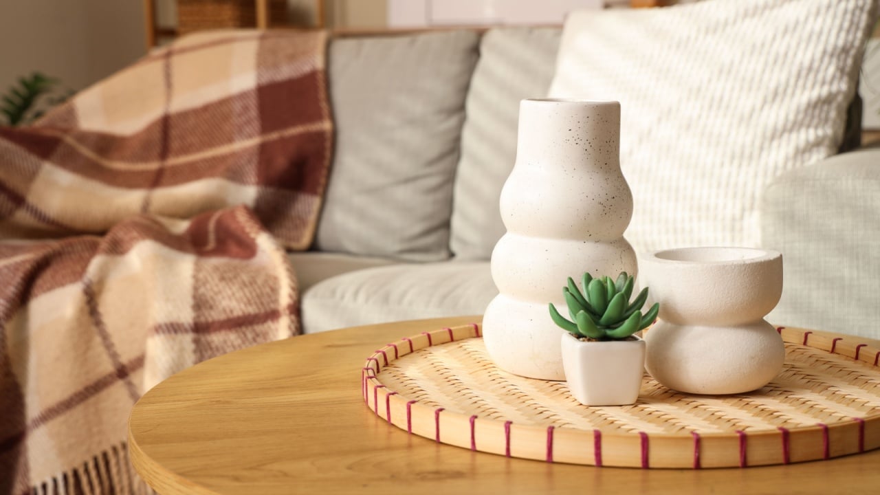 Succulent plant with vases on wooden table in living room, closeup