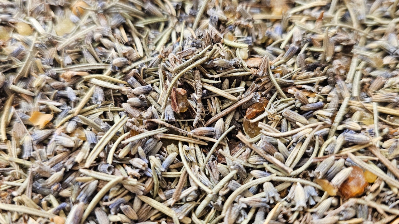 Adra, Spain – May 15, 2025;A close-up view of a dry herb mixture displays a blend of thin, woody stems and small, dried buds in muted tones of green, gray, and tan. Herb mix;