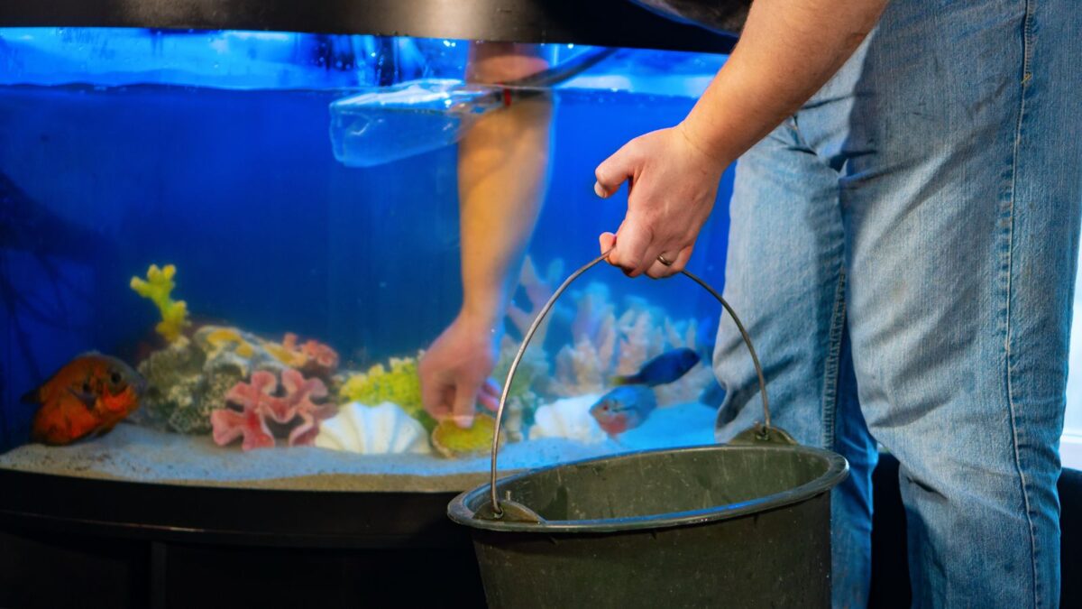 man cleaning a big home aquarium.