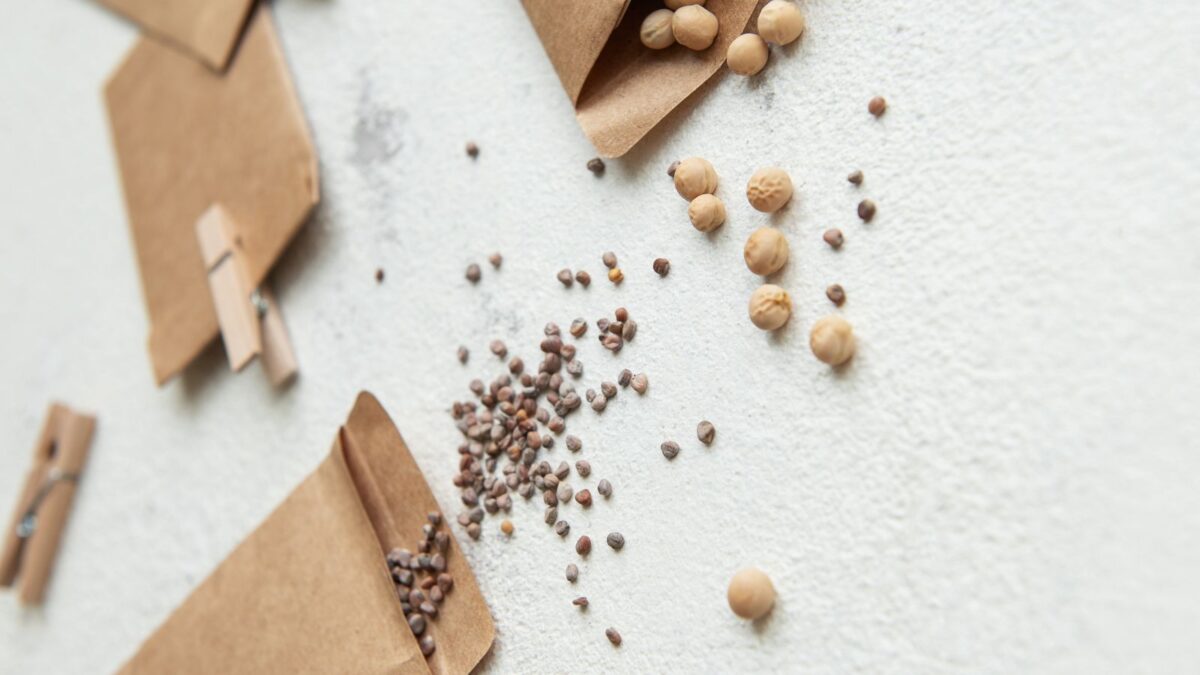 envelopes with seeds in them.