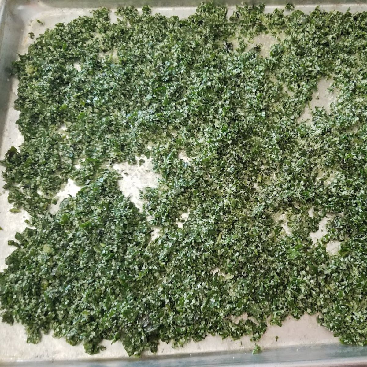 herbs drying in a sheet pan.