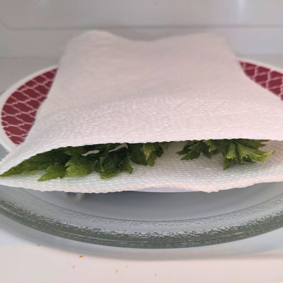 herbs settled between 2 paper towel sheets, on a palate in the microwave.