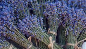 lavender bouquetes are ready to be dried