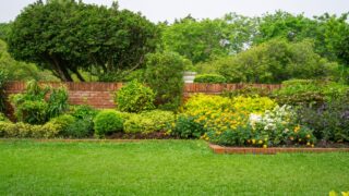 Backyard English cottage garden, colorful flowering plant and green grass lawn, brown pavement and orange brick wall, evergreen trees on background, in good care maintenance landscaping in park