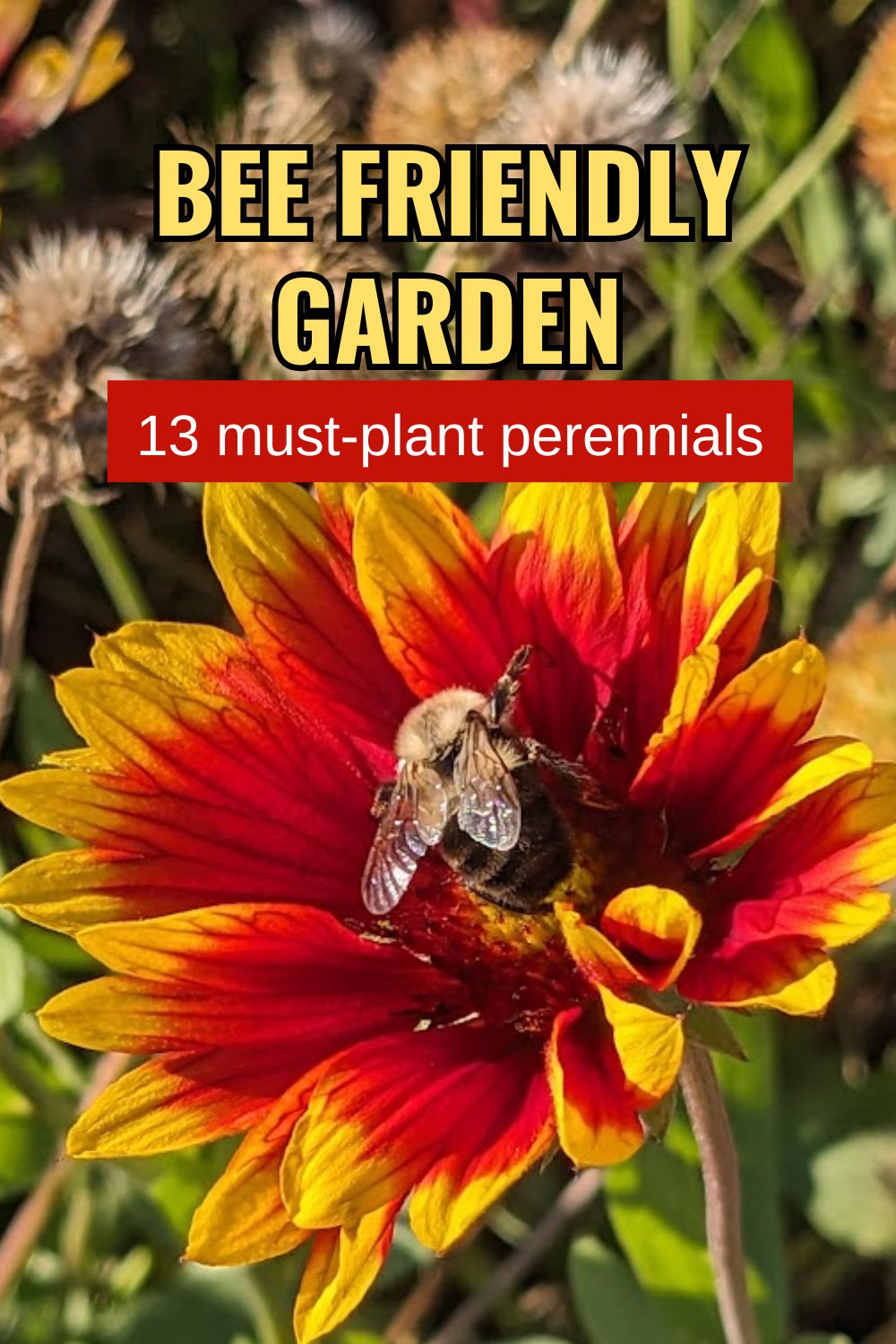 Bee friendly garden: 13 must-plant perennials.