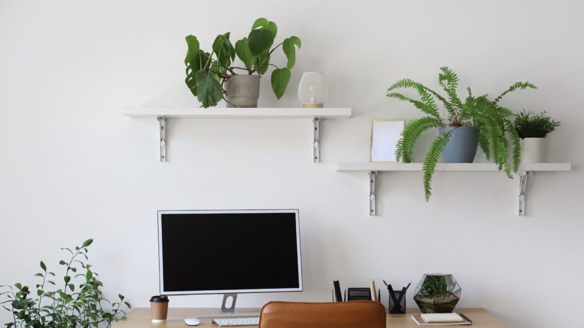 bright office with plants sitting on shelves behind the desk.