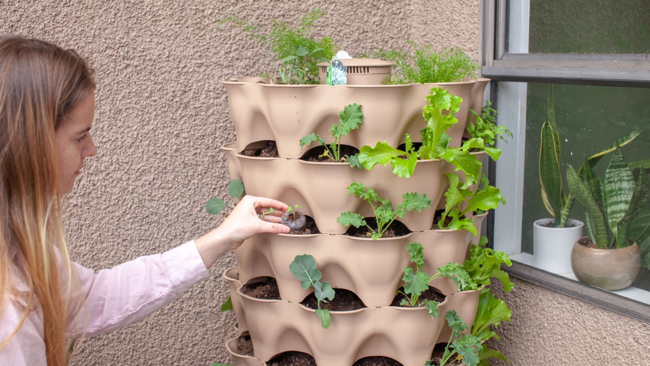 A young blonde woman is planting a vertical tower garden with herbs and vegetables on her apartment patio, in the early spring