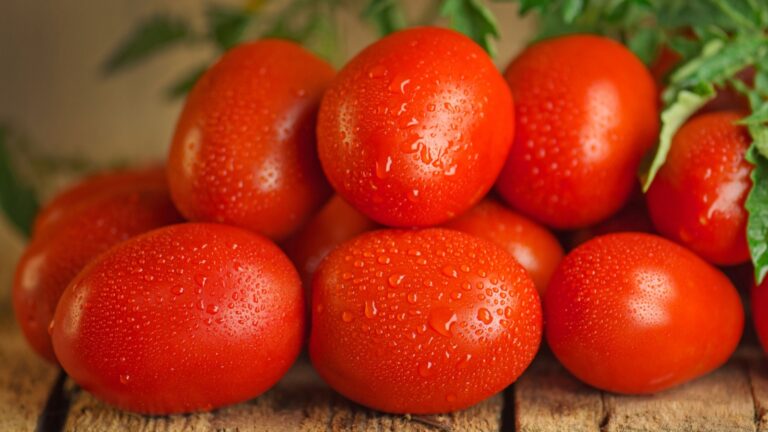 Fresh organic juicy Roma tomatoes. Fresh ripe delicious Roma tomatoes on wooden background