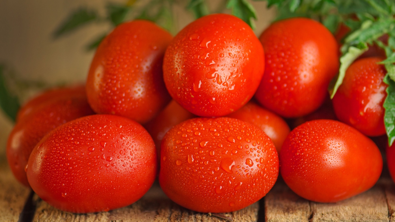 Fresh organic juicy Roma tomatoes. Fresh ripe delicious Roma tomatoes on wooden background