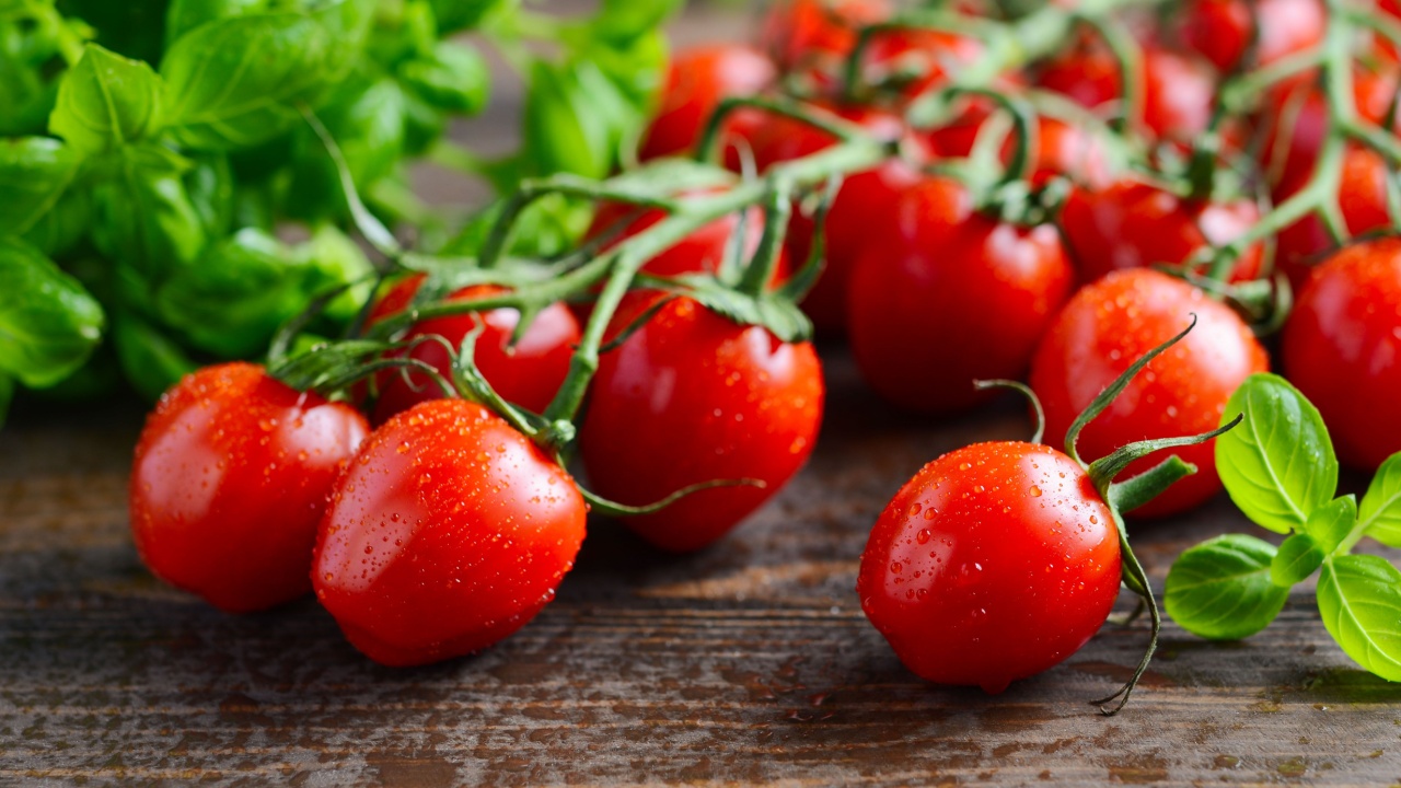 Fresh red cherry tomatoes with basil on a rustic wooden background, selective focus